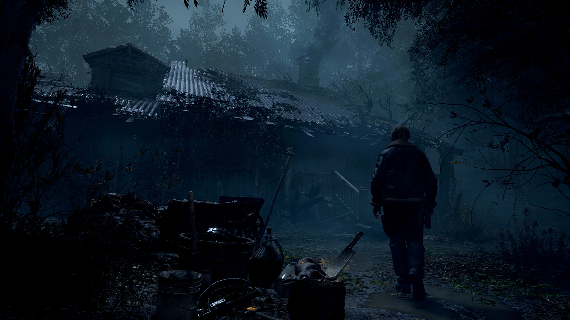Resident Evil 4 - تصویر 2